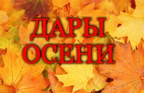 В столице Югры пройдет пятая городская выставка-ярмарка «Дары осени» В столице Югры пройдет пятая городская выставка-ярмарка «Дары осени»
