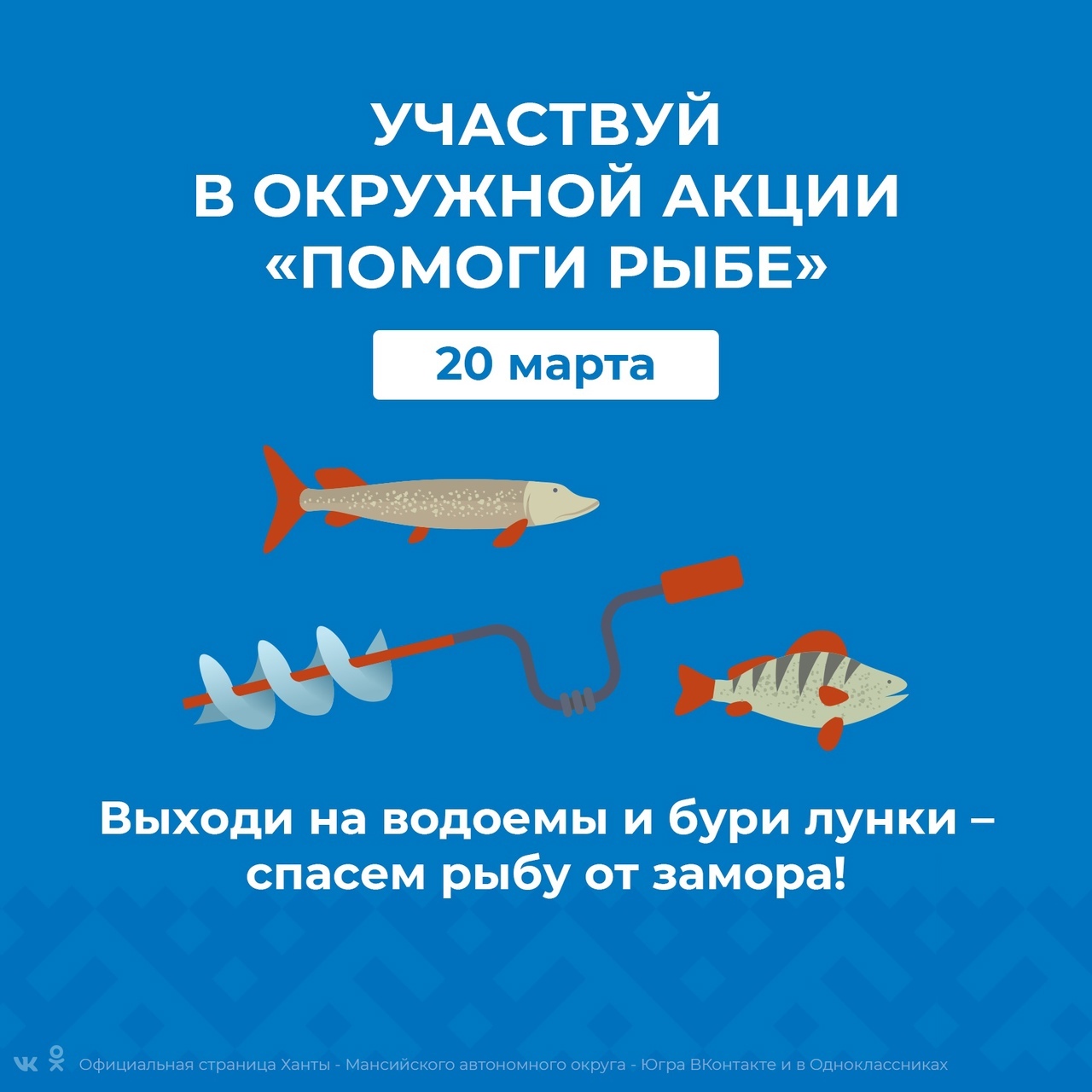 Альтернативный текст