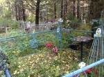 Горев Семён Петрович