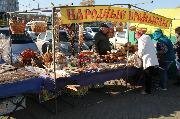IMG_2406.JPG