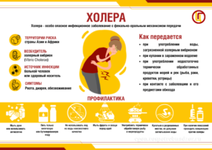 Что такое холера? Что такое холера?
