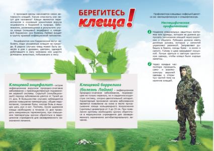 ВАКЦИНАЦИЯ ПРОТИВ КЛЕЩЕВОГО ЭНЦЕФАЛИТА! ВАКЦИНАЦИЯ ПРОТИВ КЛЕЩЕВОГО ЭНЦЕФАЛИТА!