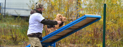 В Ханты-Мансийске появилась площадка для дрессировки собак