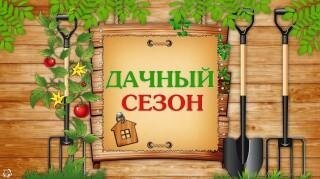 В преддверии дачного сезона В преддверии дачного сезона