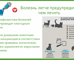 Правила обращения с домашними животными