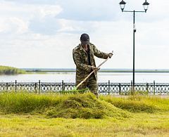 В Ханты-Мансийске в самом разгаре скос травы