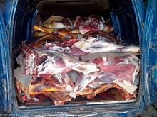 Рыба и мясо «из багажника» могут быть опасны