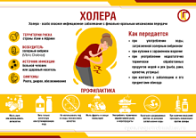 Что такое холера?
