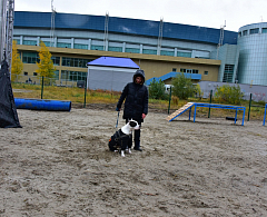 В Ханты-Мансийске появилась площадка для дрессировки собак