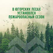 Наступили тёплые летние дни и всё больше горожан поспешат выехать на природу