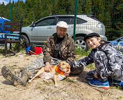 В Ханты-Мансийске для бездомных животных прошел праздник