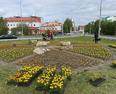 300 тысяч цветов украсят окружную столицу летом